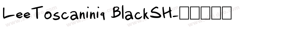 LeeToscanini9 BlackSH字体转换